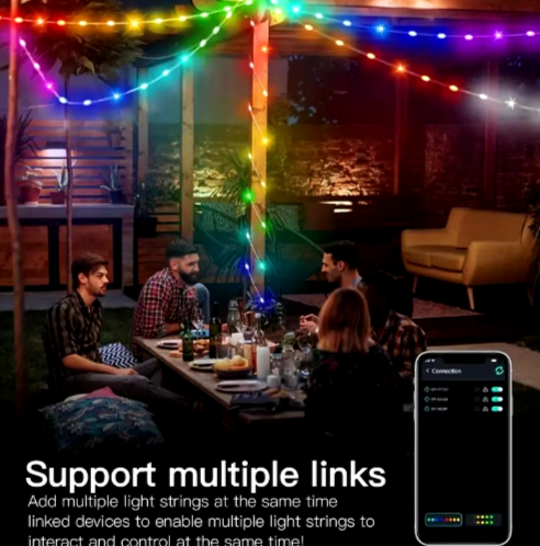 Family Smart LED Christmas/Universal Lights